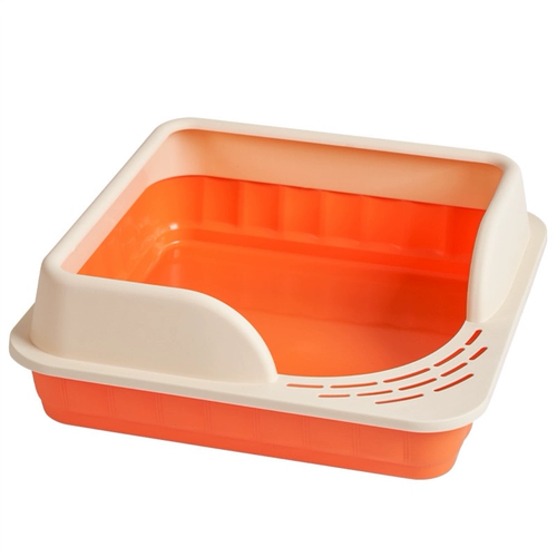 Маленький кошачий песчаный кот