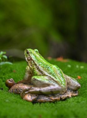 树脂仿真青蛙趴石头摆件园艺假山花卉盆景微景观造景动物装饰摆设