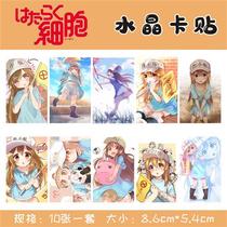 New Working Cell Platelets Cartoon Crystal Card Stickup Frosted Cover Bus Card Dining Card Bank Card Sticker Students