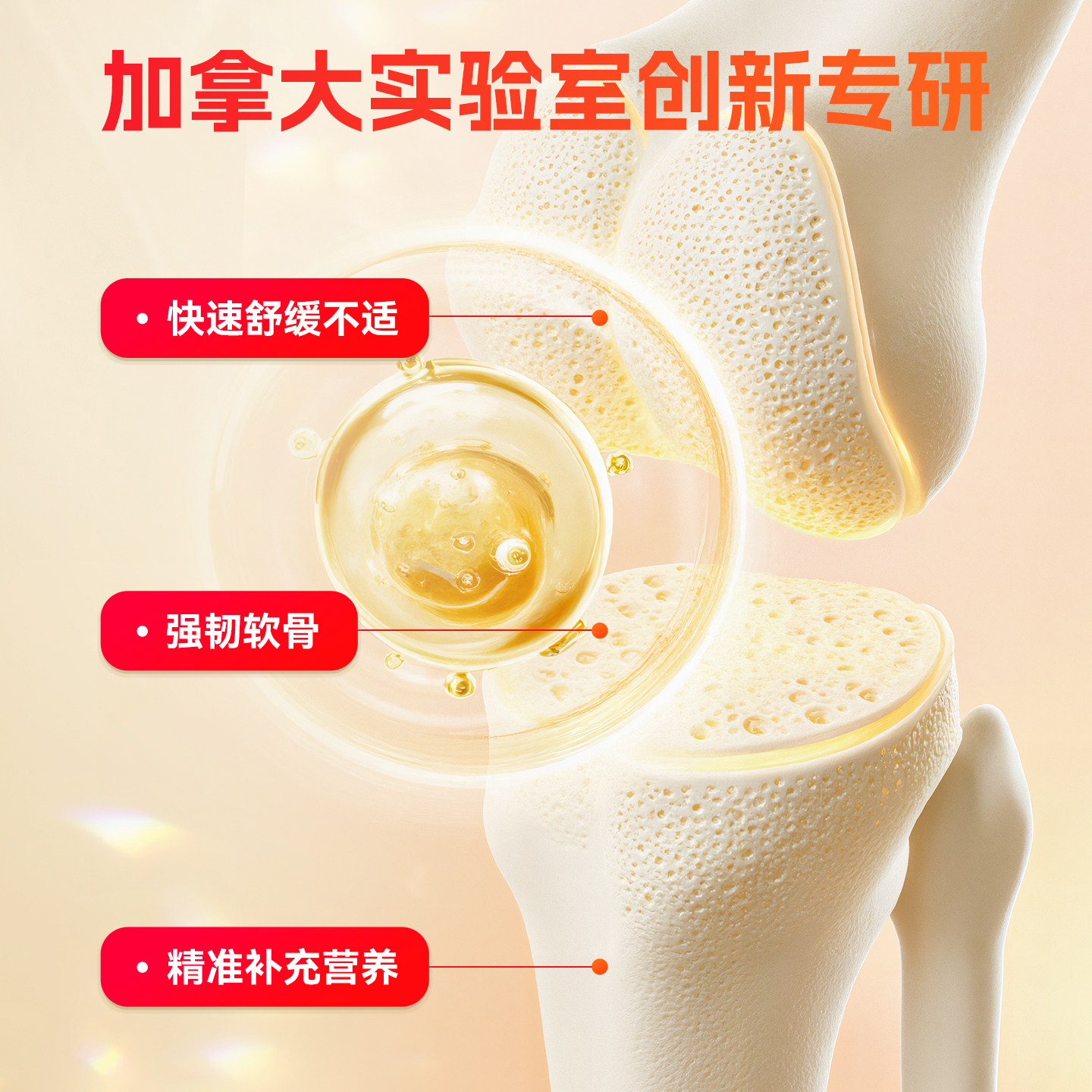 FEINADE飞洛德小红管运动修复膏运动氨糖灵活关节膝盖修护涂抹膏1