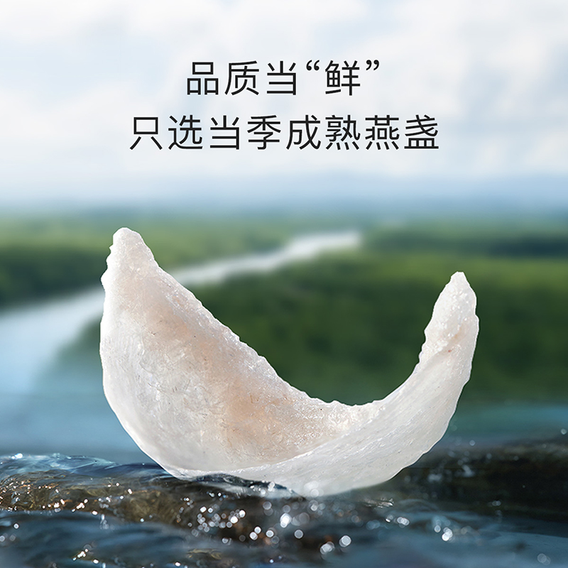 小仙炖干燕窝优享系列50g印尼溯源干盏送礼长辈孕妇礼物