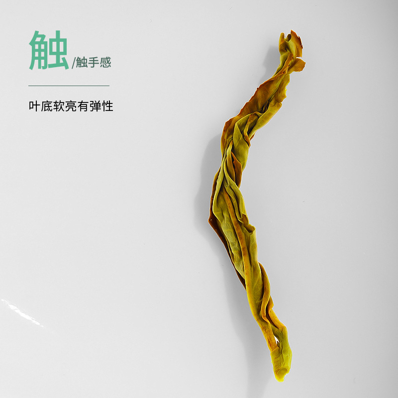 陈一凡凤凰单枞鸭屎香茶叶特级乌龙茶正宗潮州高山单丛春茶纸包装 - 图1