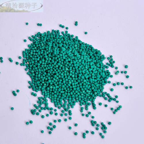 铜钱草籽种子大物叶子水养种种籽草水培植花卉招财盆栽室内常绿 - 图1