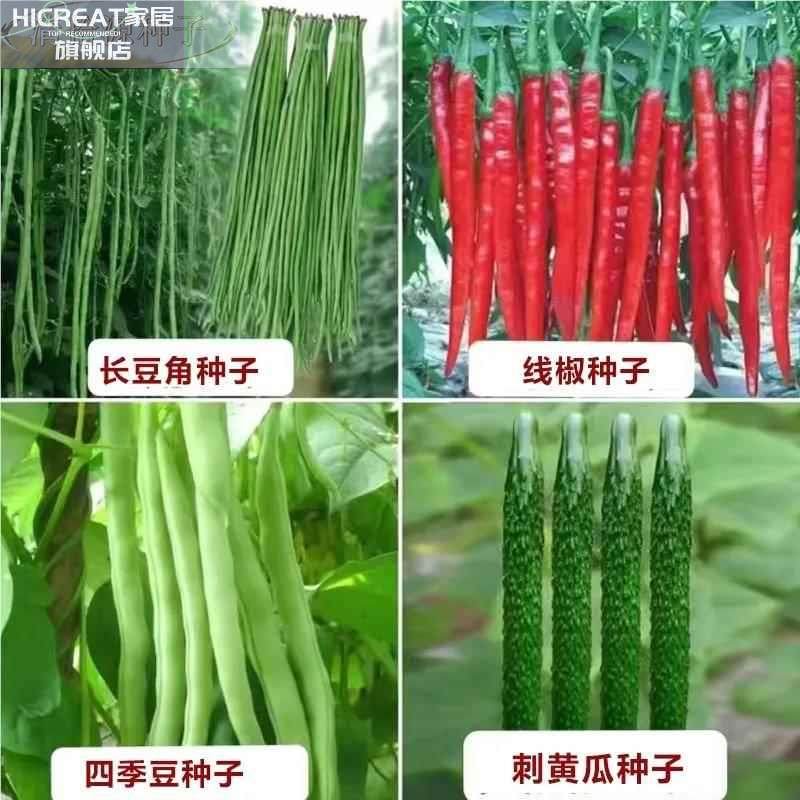 100种开春季春蔬菜子茄套餐丝瓜黄瓜辣椒HICREAT豆角蔬玉种米子农,淘宝优惠券,粉丝福利购,淘宝优惠卷
