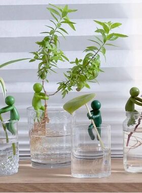 水培植物生长伴侣固定扶正器