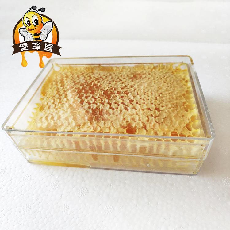 健蜂园 荆条蜂巢蜜成熟封盖蜂蜜 500g盒装嚼着吃的蜂巢蜜 - 图3