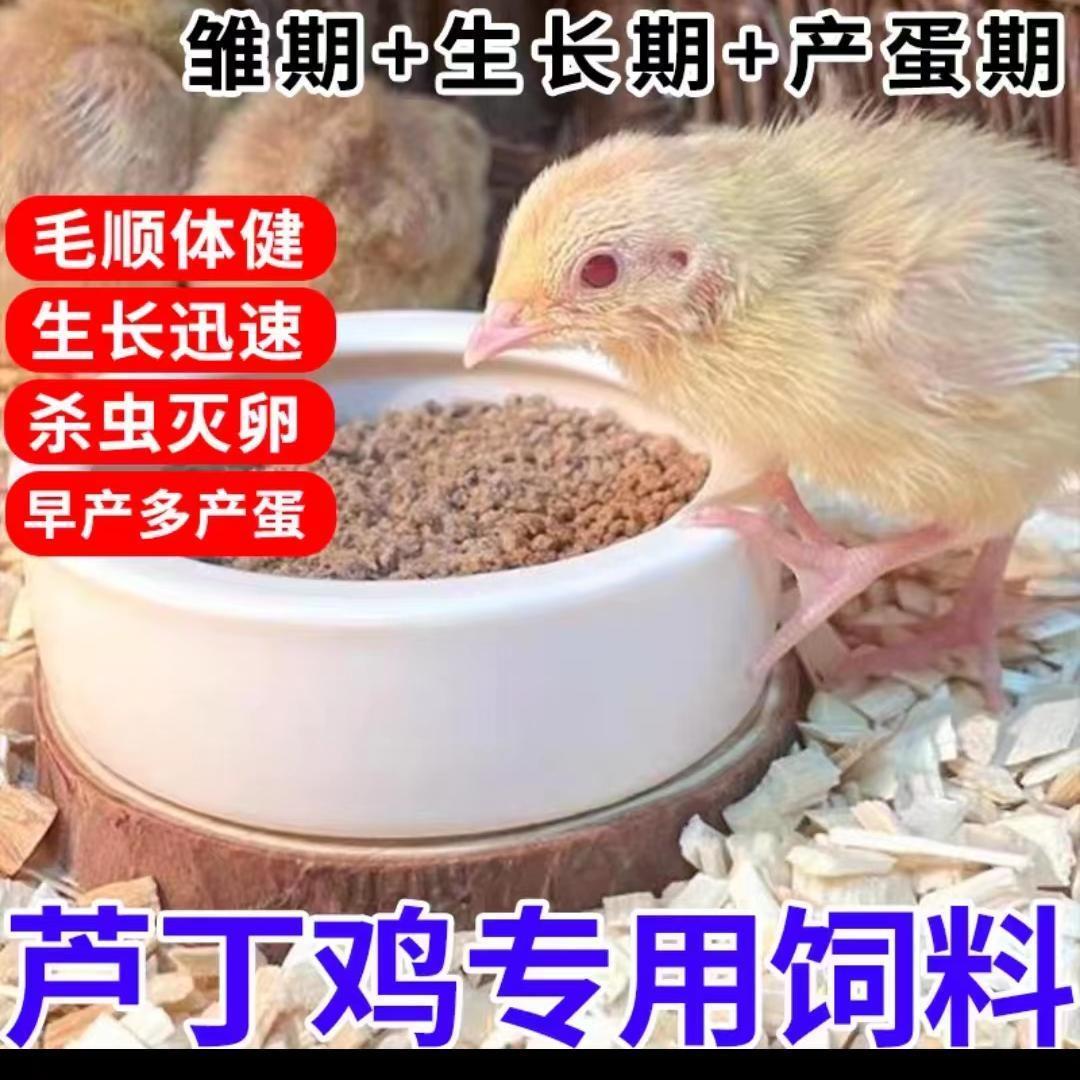 芦丁鸡小鸡产蛋专用饲料育雏鹌鹑小鸡下蛋食料加蔬菜干面包虫干 - 图1