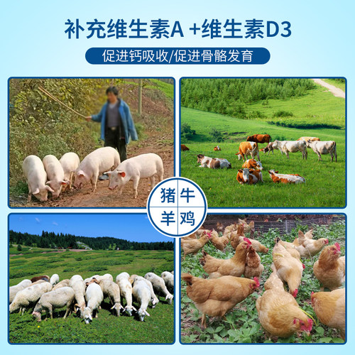 雄牧鱼肝油兽用补充多维维生素禽鸡鸭鹅鸽子养殖猪牛羊饲料添加剂 - 图0