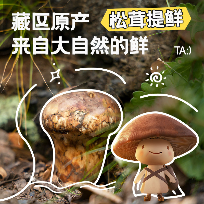 饭之恋松茸调味料95g*2