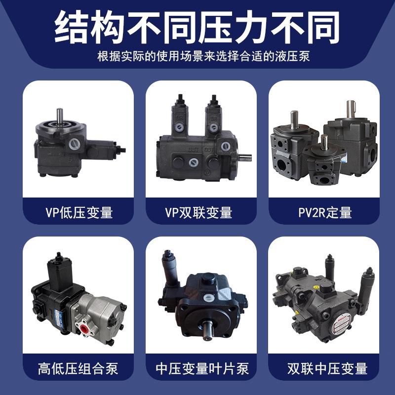 厂家直供PV2R1叶片泵全规格6/8/10/12/14ml/r液压系统油泵液压泵 - 图1