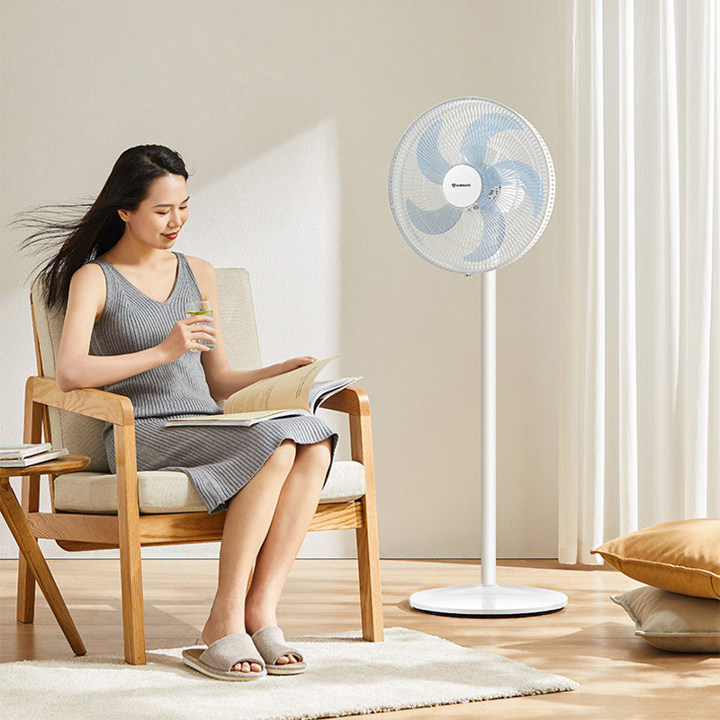  艾美特生活电器电风扇