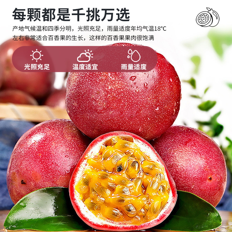 成央记新鲜百香果酱冷冻百香果汁果肉奶茶店用纯鲜榨风味果味饮料