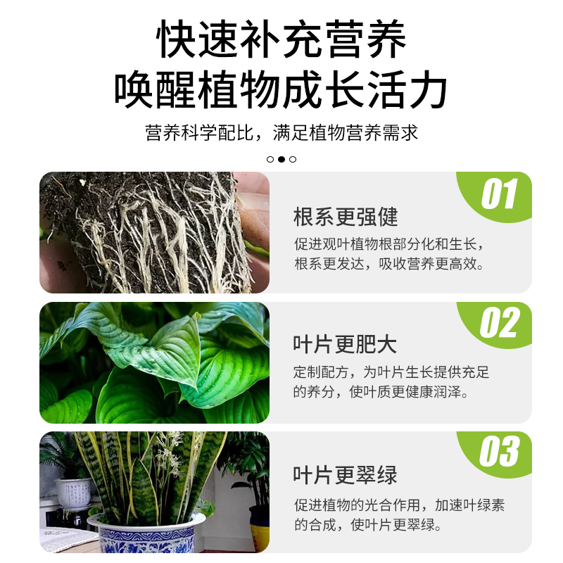 金正大绿叶专用营养液绿萝发财树巴西木盆栽植物肥料 - 图1