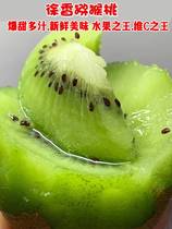 Brow County Macaque Peach Direct Mega Fruit Xuxiang Fresh Fruit Whole Box Pregnant Woman With Walnut When Season Monkey Peach Bizarre