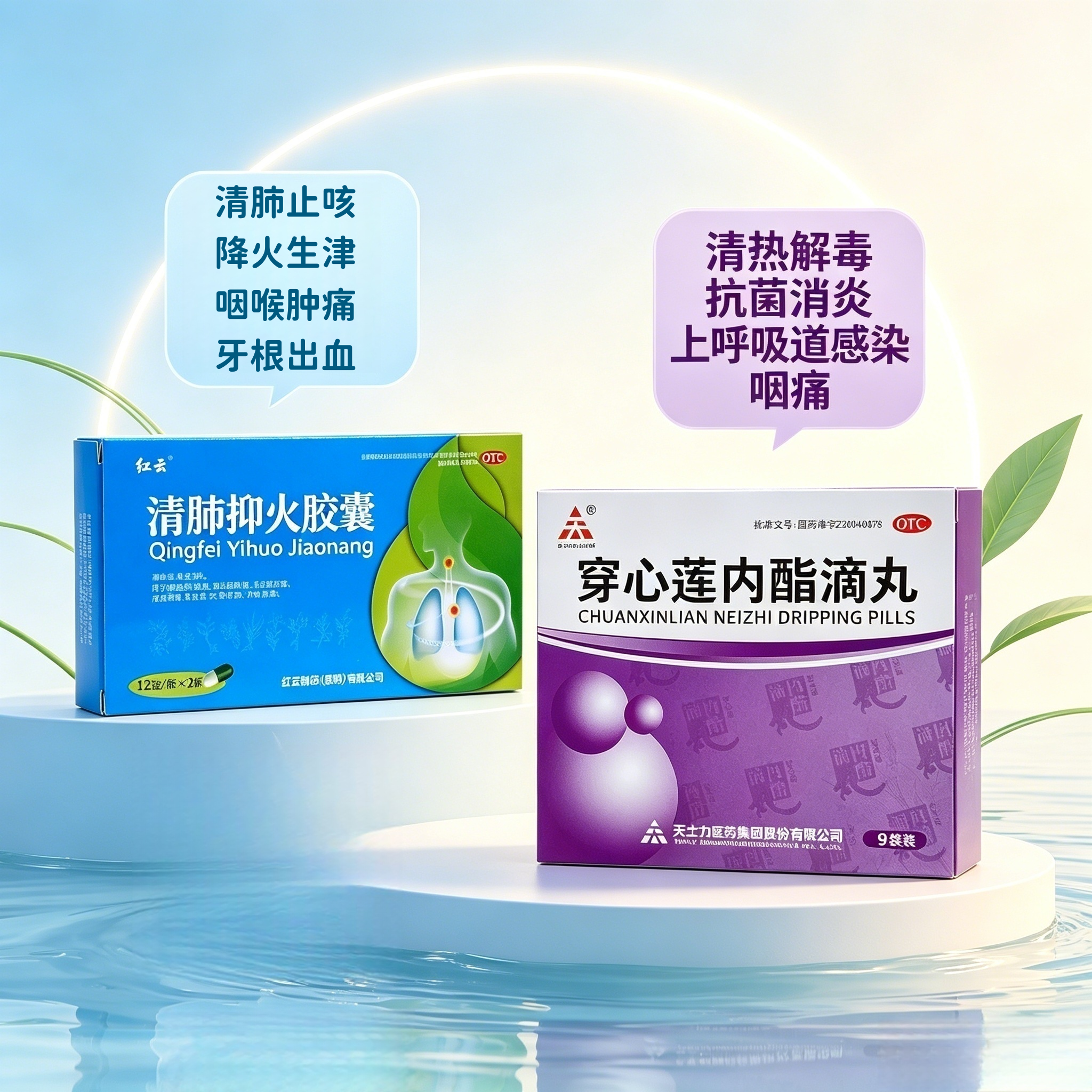 包邮】清肺抑火胶囊24粒咽喉肿痛口鼻生疮牙齿肿痛牙根出血