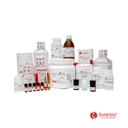 索莱宝Solarbio APT琼脂 微生物培养 LA5650 250g 科研实验试剂 - 图3