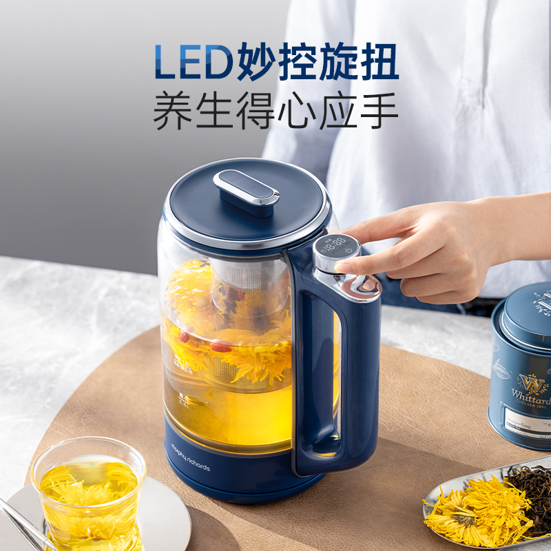  摩飞电器中式厨房养生壶/煎药壶