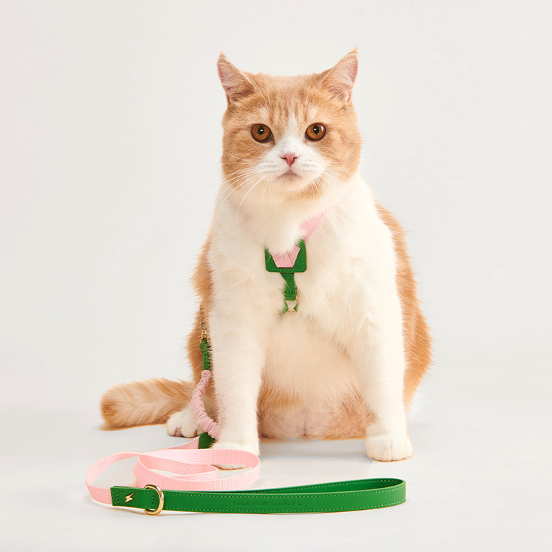 火星来电MarsMail宠物弹力牵引绳小型犬猫狗通用织带防爆冲遛狗绳,淘宝优惠券,粉丝福利购,淘宝优惠卷