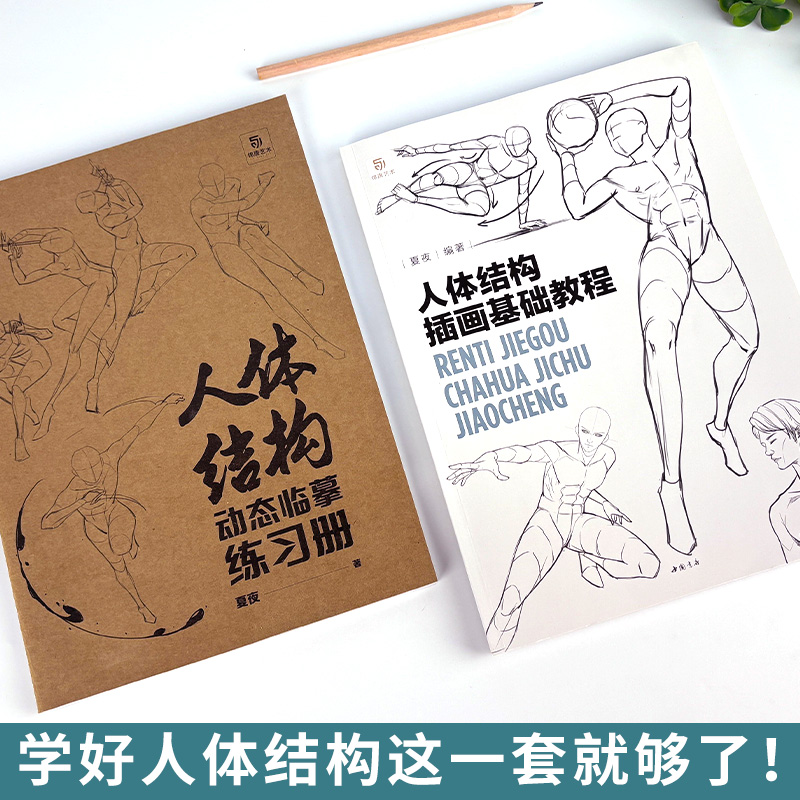 夏夜人体结构插画基础教程套装 教程书+练习本 边学边练 同步教学 人体速写 动态结构 人体结构造型手绘技法 漫画人物绘画零基础 - 图1