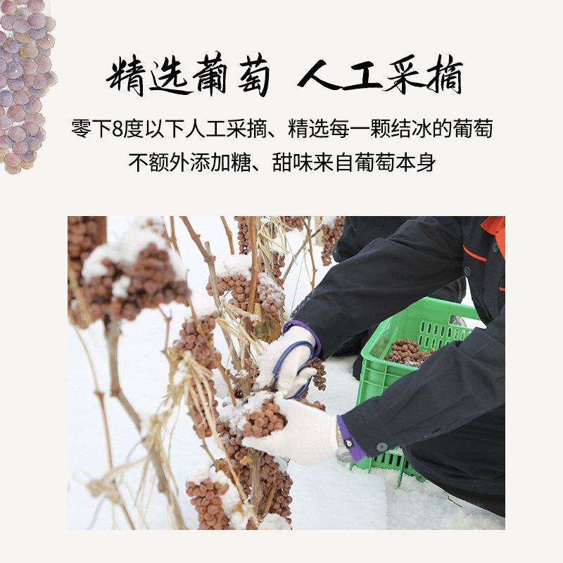 醉鹅娘雪国森林低度甜型白葡萄酒冰酒女士微醺晚安酒300ml,淘宝优惠券,粉丝福利购,淘宝优惠卷