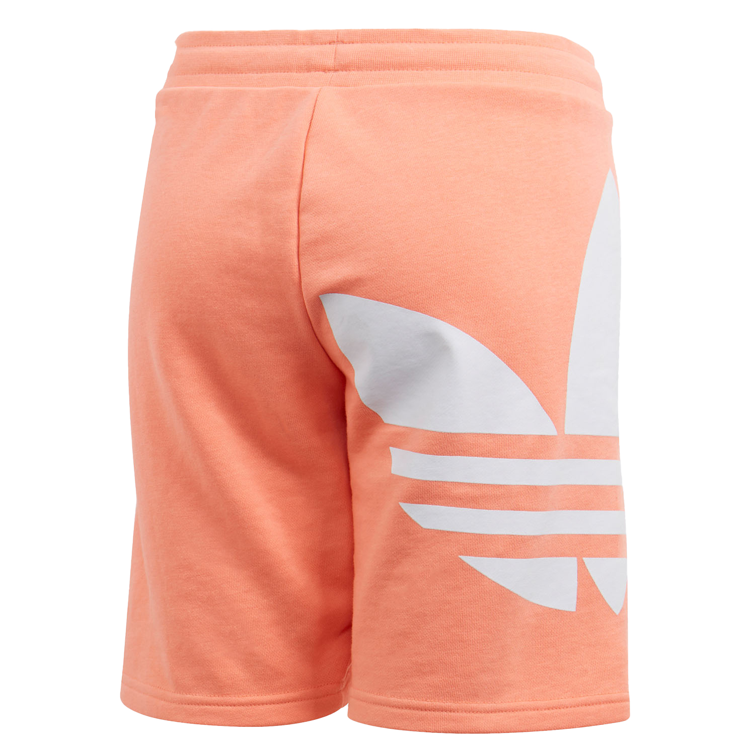 Adidas/阿迪达斯正品潮流夏季新款三叶草大童休闲运动短裤FM5664 - 图3