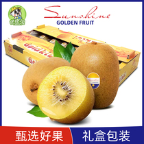 (Jumbo-Jumbo) Thumping Rabbit Kiwi Yellow Heart Kiwi Pregnant Woman When Season Fresh Fruit 5 Catty Golden Fruit Gift Boxes