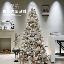 New Flocking Christmas Tree Package 1 5 1 8 3 m Large Emulation Tree Encryption Luxury Decoration Home Swing
