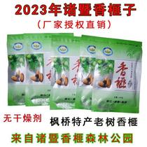 New goods from Xiangya Zum 2023 Zhuji Maple Bridge Special Products of Fragrant Torreya Forest Park High-quality Farmhouse Ancient Tree Torreya Forest