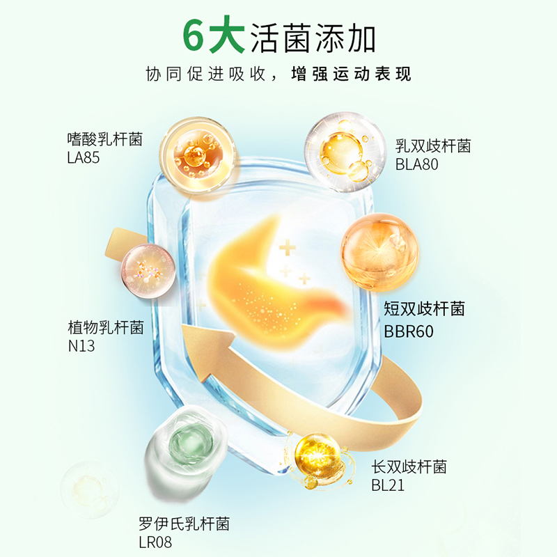 拍1发3如励官方正品乳酸菌植物蛋白粉优质营养品大肚腩减小益生菌