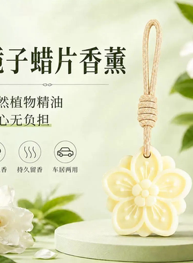 衣柜防霉植物萃取香薰挂片除味