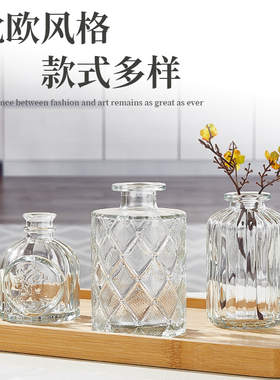 小号花器高级玻璃瓶子水培桌面