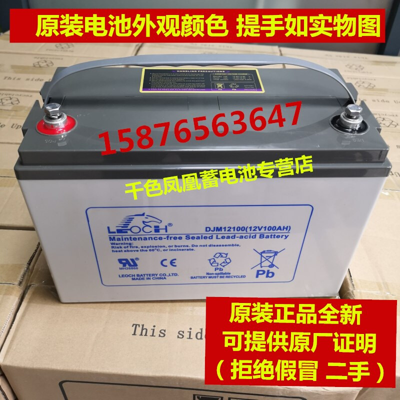 原装LEOCH蓄电池DJM12100S 12V100AH UPS机房 应急EPS直流屏电柜 - 图0