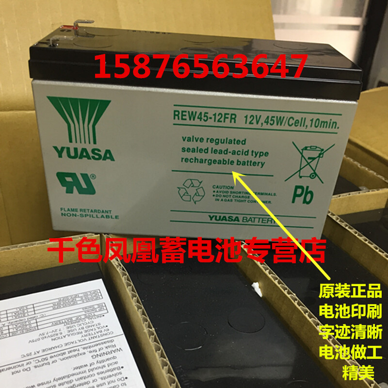 YUASA REW45-12FR 12V45W/Cell,10min 进口设备 船舶电源备用电池 - 图0