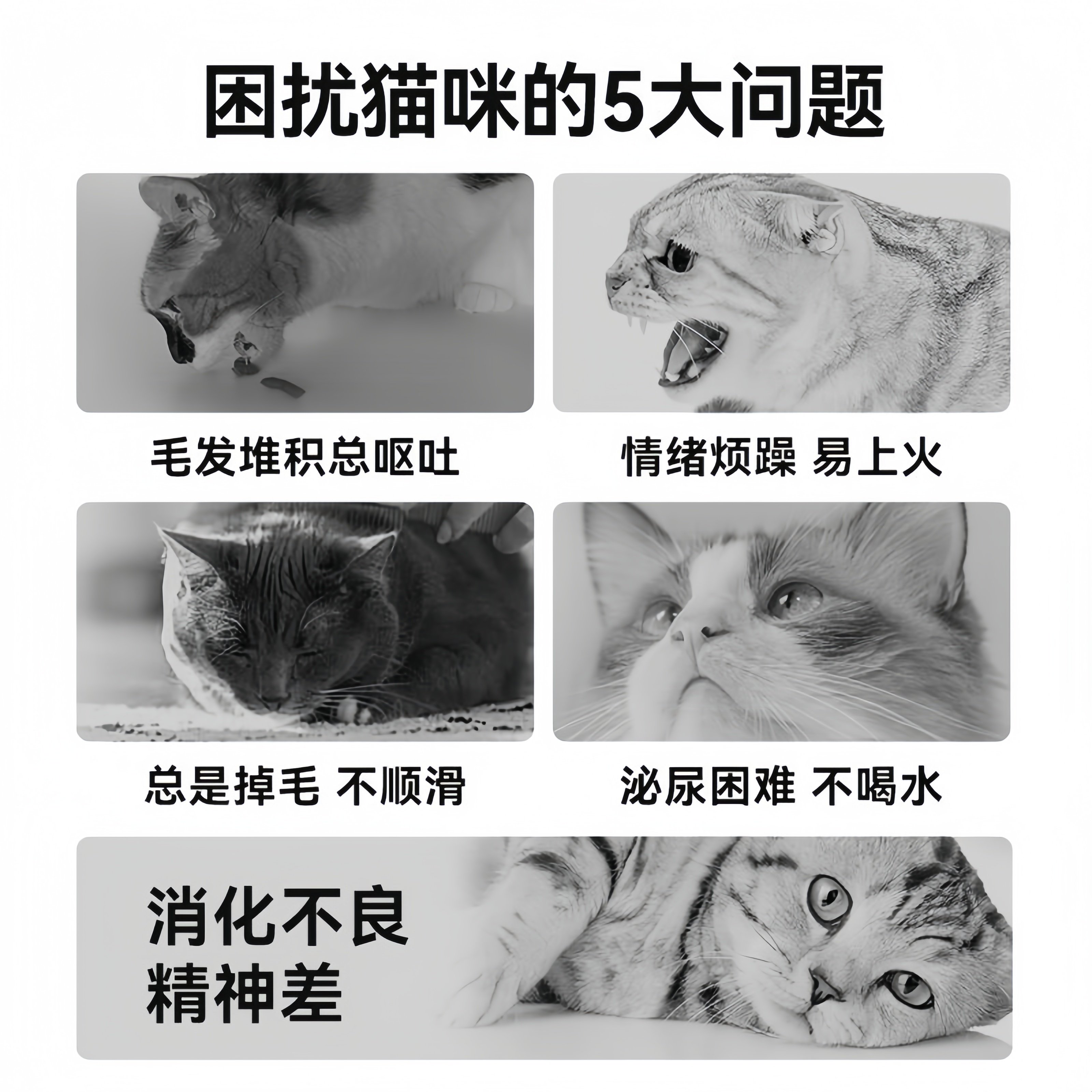 笑宠主食猫条100支猫咪零食猫条互动补水罐头幼猫成猫湿粮拌粮,淘宝优惠券,粉丝福利购,淘宝优惠卷