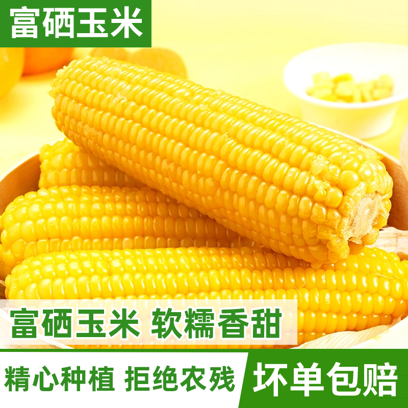 【吉杰直播间】富硒糯玉米代餐早餐真空锁鲜装黏甜糯苞米
