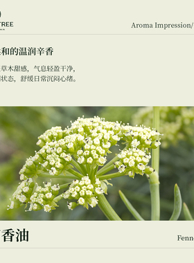 ACHOTREE甜茴香精油舒缓按摩