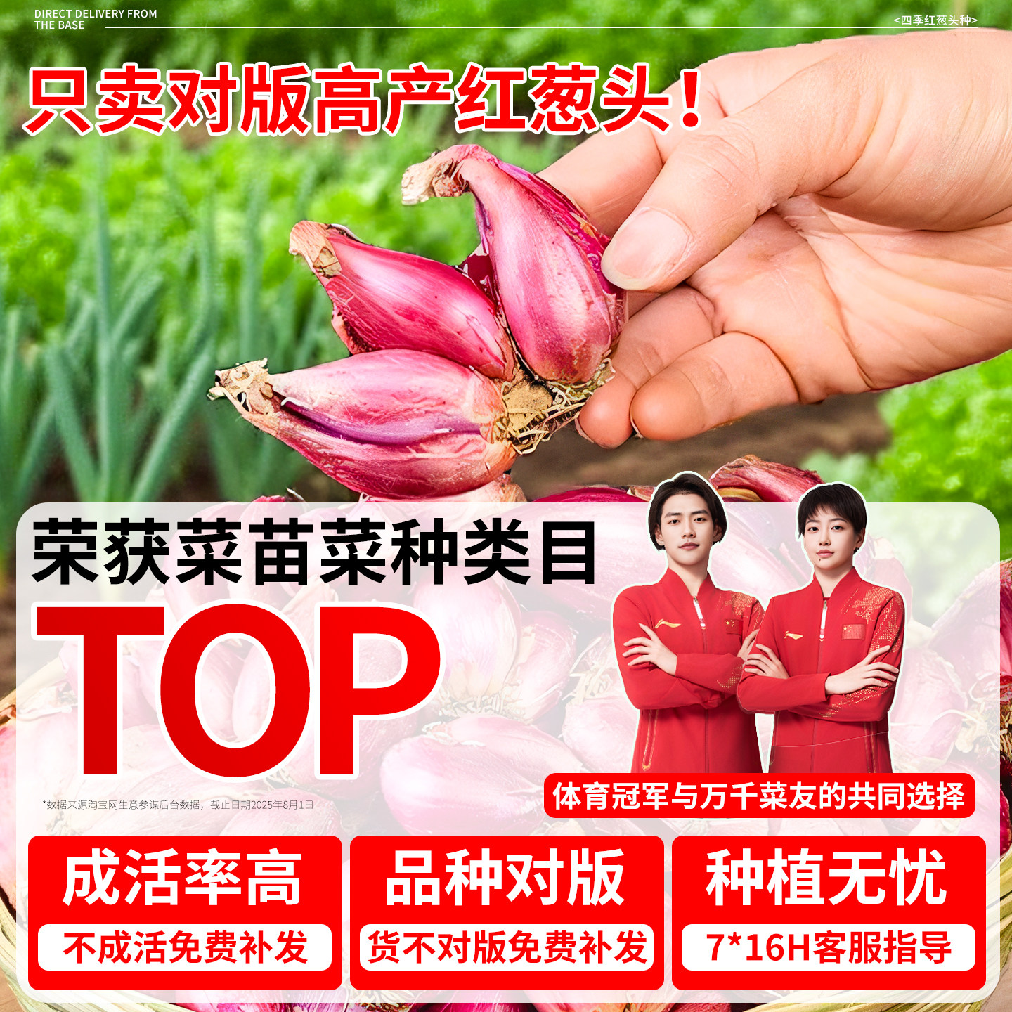 葱头种子小葱香葱带根红葱头种四季菜苗秧苗盆栽蔬菜大全冬季耐寒,淘宝优惠券,粉丝福利购,淘宝优惠卷