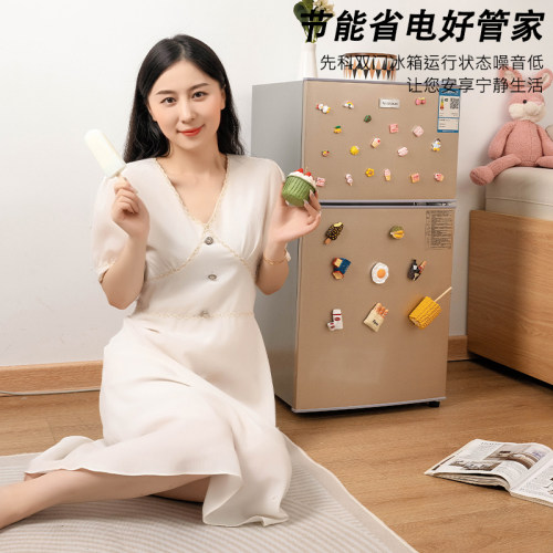 先科一级能效小冰箱家用小型宿舍租房用迷你省电办公室双门电冰箱 - 图3