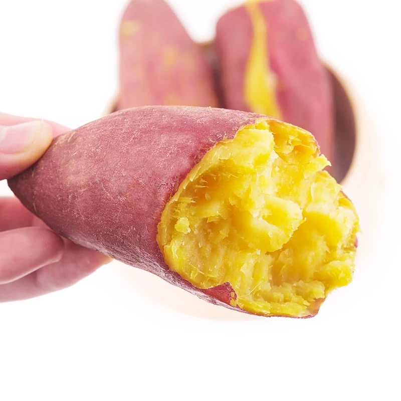 正宗蜜薯新鲜糖心9斤板栗番薯沙地红薯地瓜蔬菜农家自种六鳌