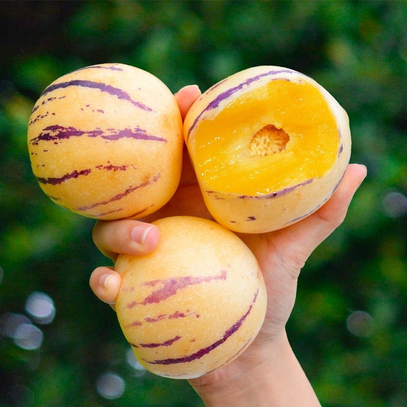 云南人参果9斤新鲜水果石大人心果娃娃果黄肉人生叁果林整箱包邮,淘宝优惠券,粉丝福利购,淘宝优惠卷