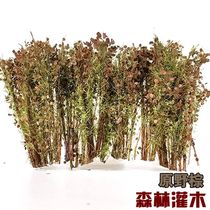 Military Scene Forest Bush Model DIY Model Making Railway Tr