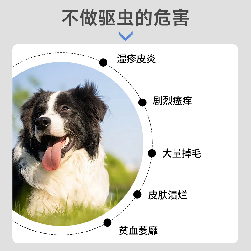 勋迪狗狗驱虫药体内外一体除跳蚤虱子蜱虫犬猫宠物驱虫专用喷剂-图1