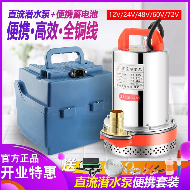 家用直流潜12V抽水24V48V60V伏电瓶抽水机农用标配套餐+24V-10米-图0