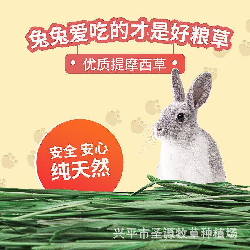 兔礼盒装荷兰猪提摩西兔子兔兔牧草草高纤宠物烘干草段干草段龙猫,淘宝优惠券,粉丝福利购,淘宝优惠卷