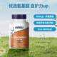 ໃນປັດຈຸບັນທີ່ບໍ່ແມ່ນ GMO L-Glutamine Capsules ຄວບຄຸມ ລຳ ໄສ້ແລະເສີມສ້າງສຸຂະພາບຂອງຄວາມອ່ອນໄຫວຂອງກະເພາະອາຫານ.
