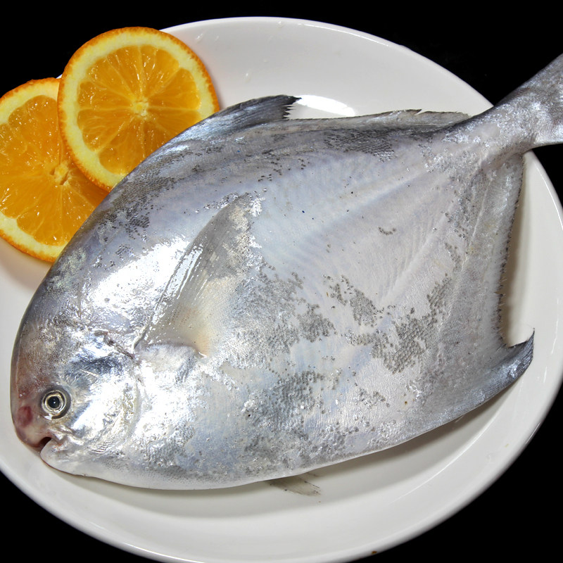 特大银鲳鱼新鲜冷冻舟山白鲳鱼鲜活海鲜水产海捕大昌鱼平鱼鲳鳊鱼,淘宝优惠券,粉丝福利购,淘宝优惠卷
