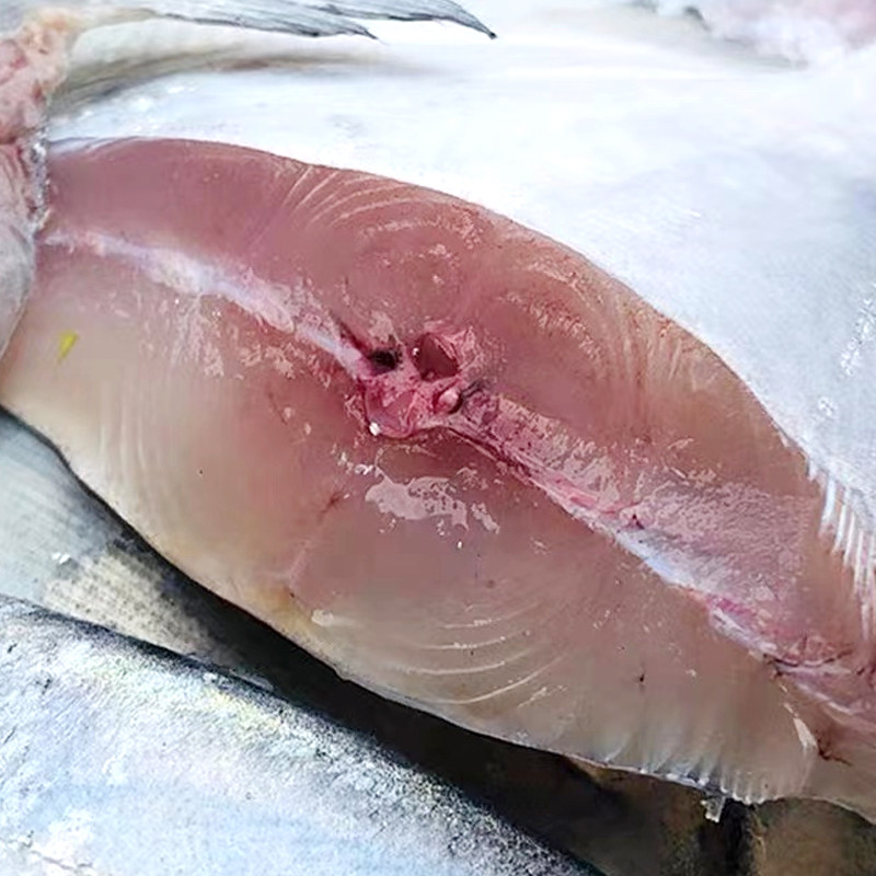 特大银鲳鱼新鲜冷冻舟山白鲳鱼鲜活海鲜水产海捕大昌鱼平鱼鲳鳊鱼,淘宝优惠券,粉丝福利购,淘宝优惠卷