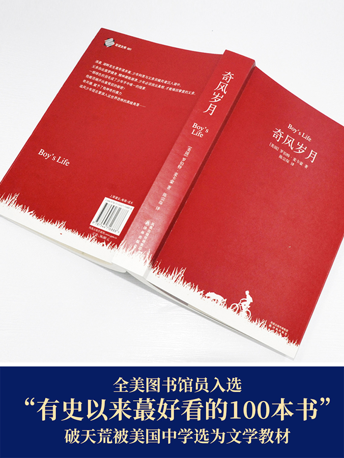 奇风岁月麦卡蒙美国成长外国现当代文学小说入选美国中学文学-图1