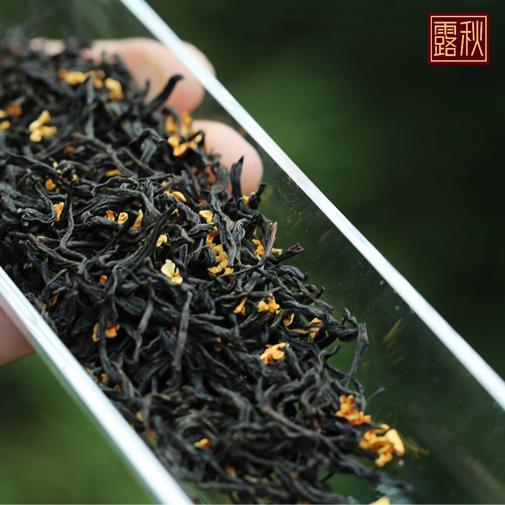 500g桂花红茶正山小种新茶冷泡茶非特级浓香型茶叶散装礼盒批发价