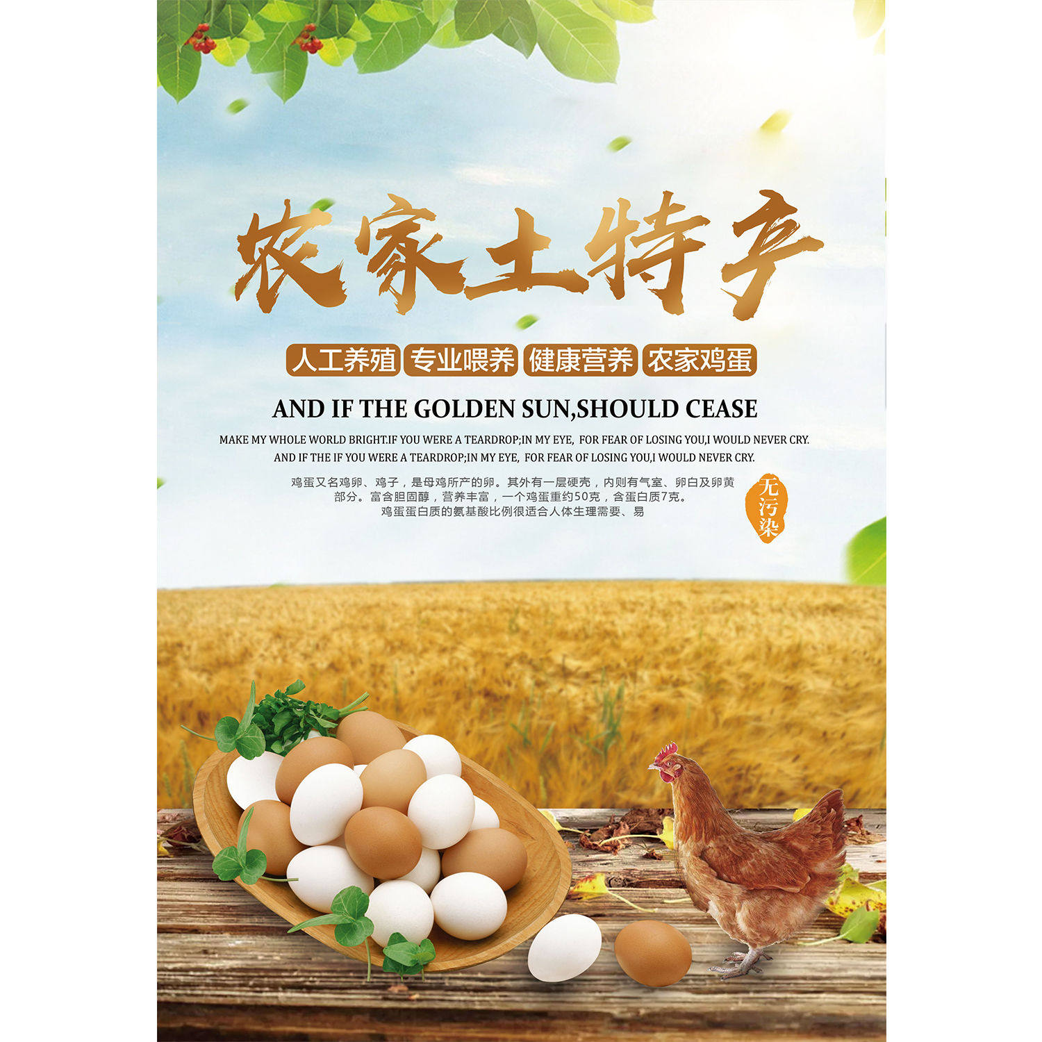 土鸡土鸭鸡蛋宣传画超市出售家禽店铺装饰背景墙画鸡肉分割图贴纸,淘宝优惠券,粉丝福利购,淘宝优惠卷